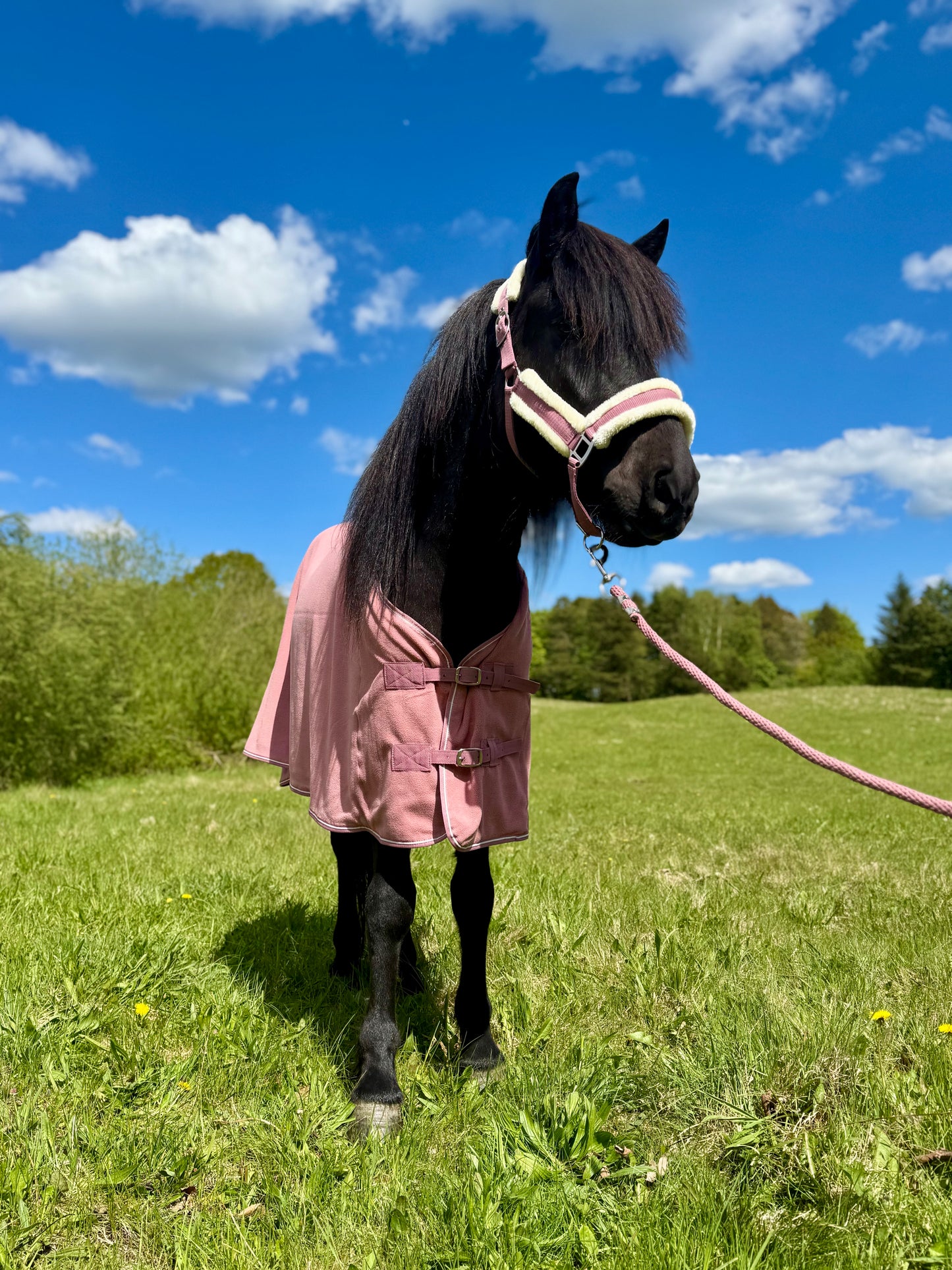 Cavalli - Fleecedækken - Old rose