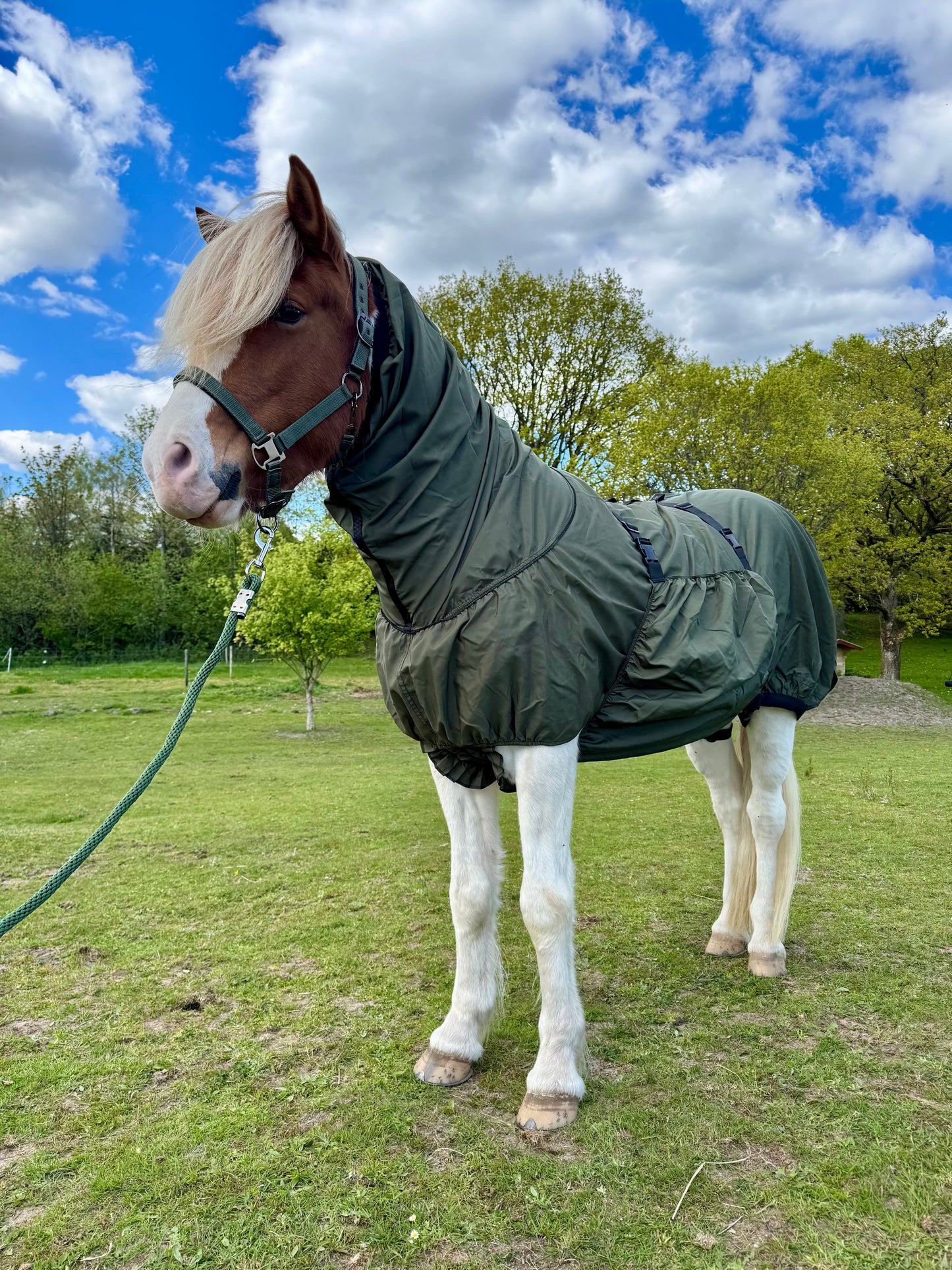 Cavalli Eksemdækken - Moss Green
