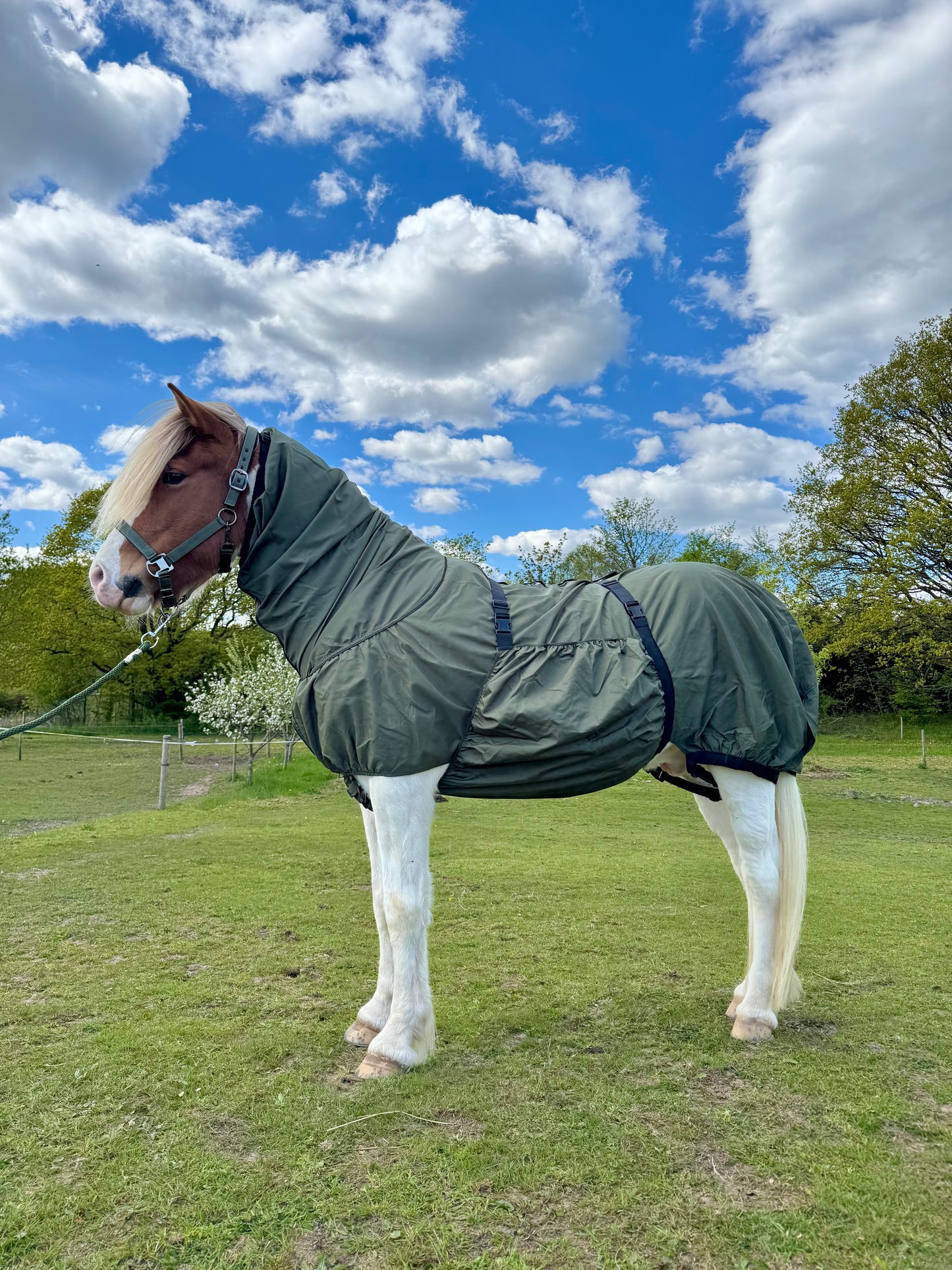 Cavalli Eksemdækken - Moss Green