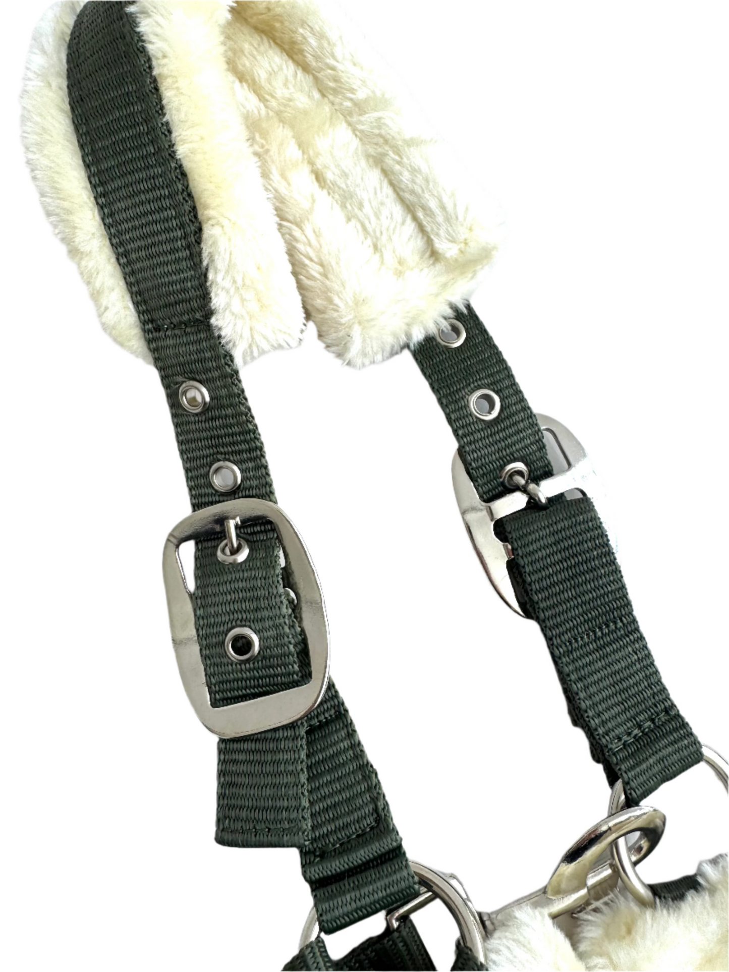 Cavalli Teddy Grime - Moss Green