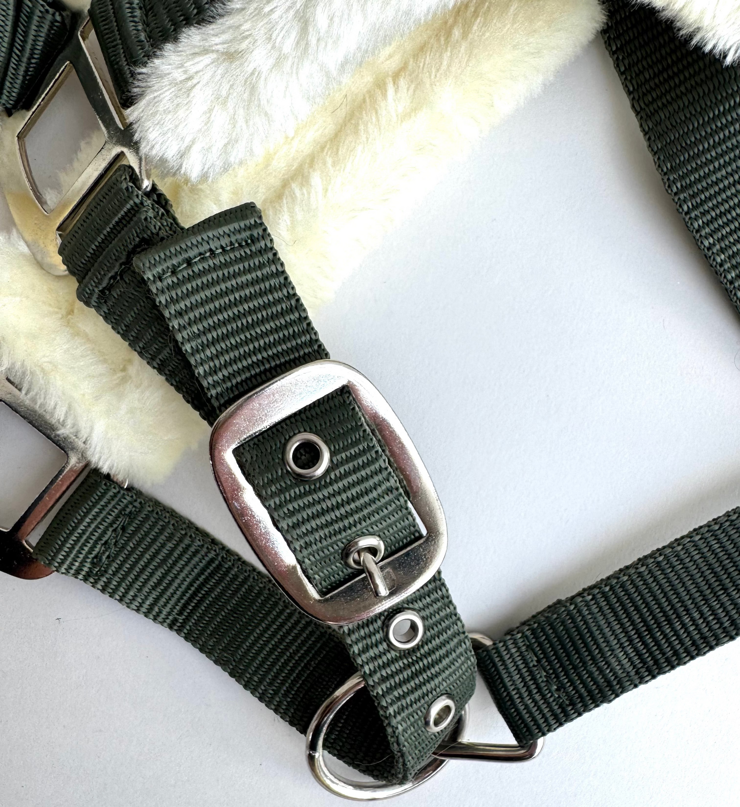 Cavalli Teddy Grime - Moss Green