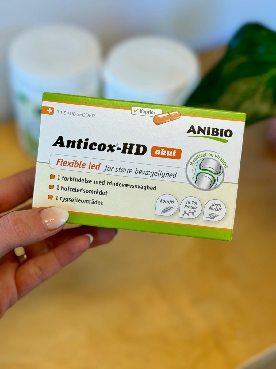 Anibio - Aanticox-HD Akut 50 Kapsler - animondo.dk - 2715