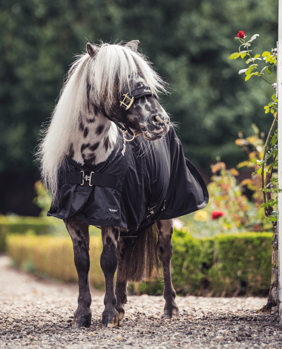 Back on Track - "Royal Netdækken Deluxe" - Pony - sort - animondo.dk - 21649080