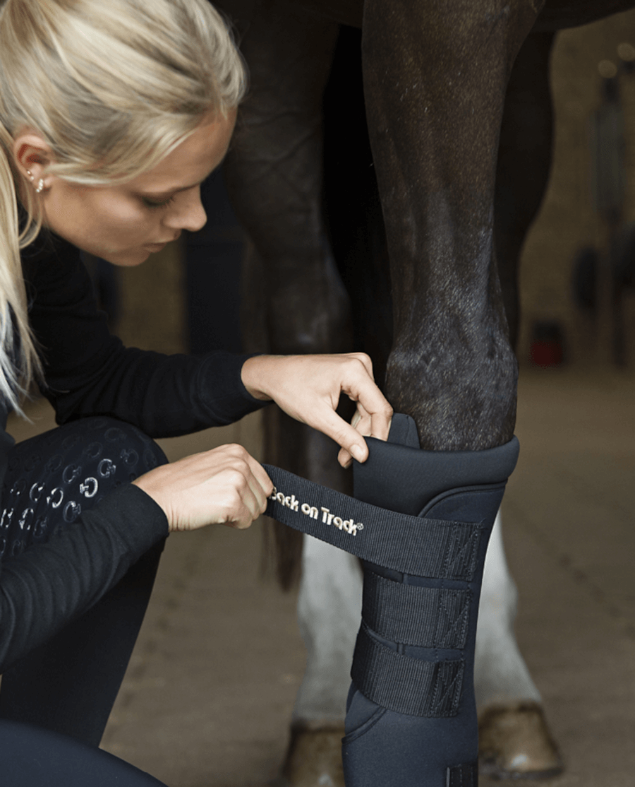 Back on Track - Staldbandage "Royal" - Sort - animondo.dk - 20310501