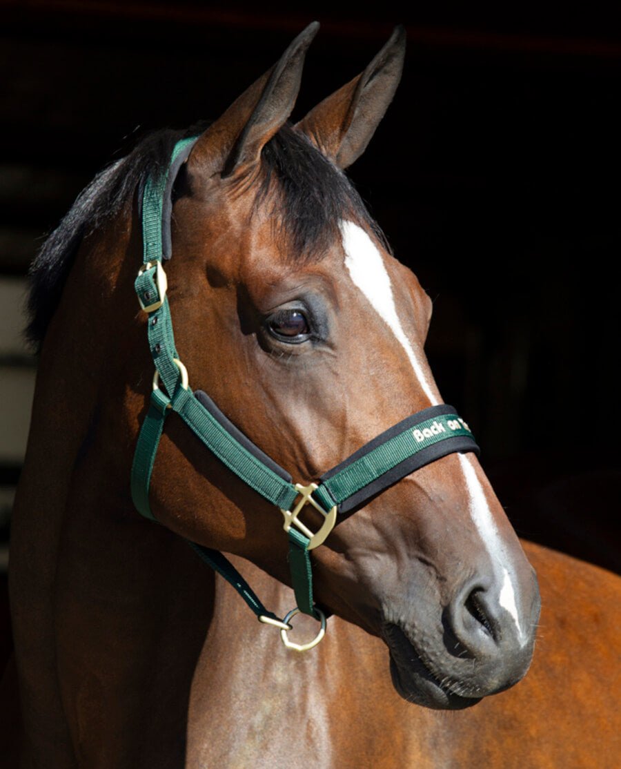 Back on Track - "Werano" grime - Grøn - animondo.dk - 20648700