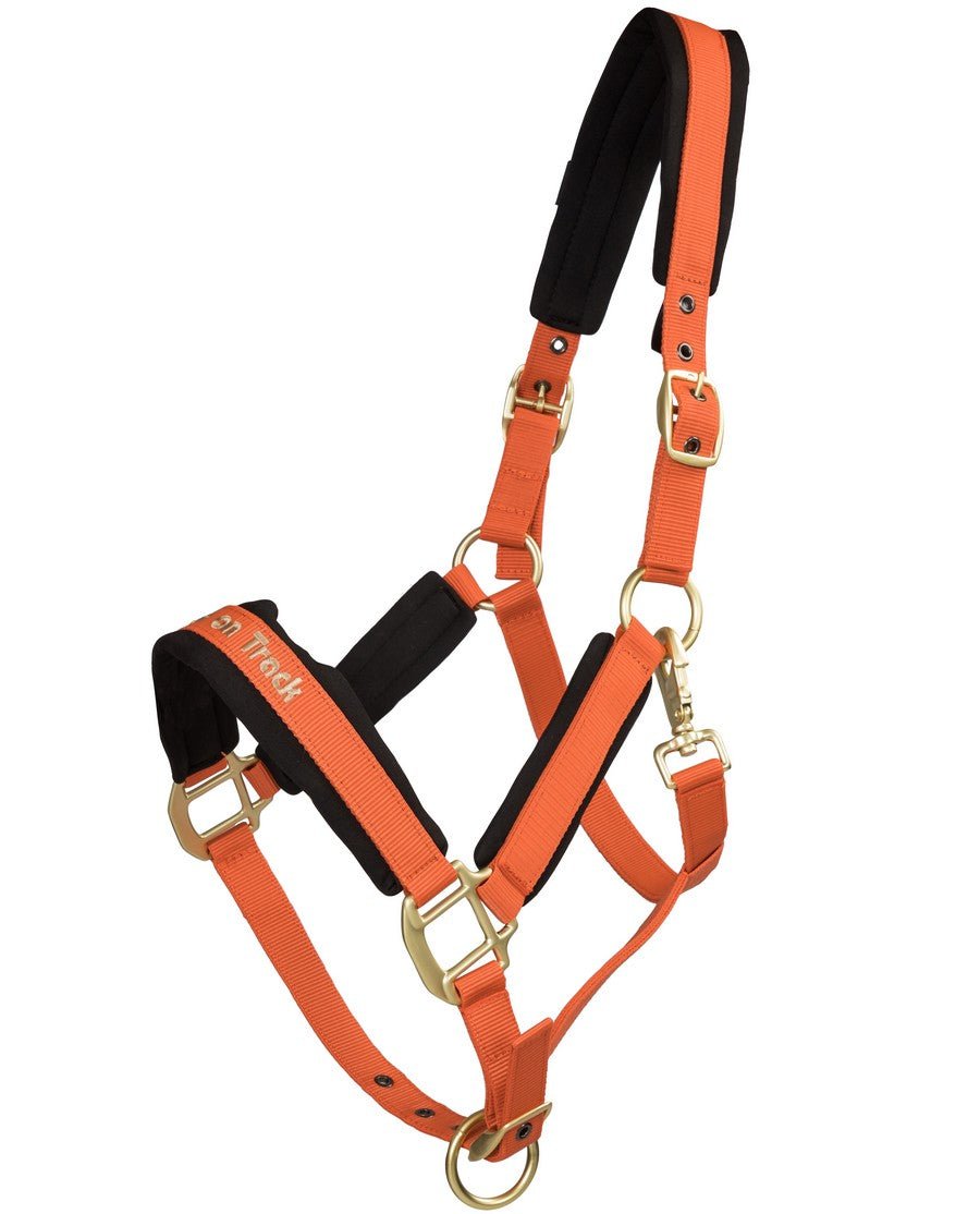Back on Track - "Werano" grime - Orange - animondo.dk - 20648700