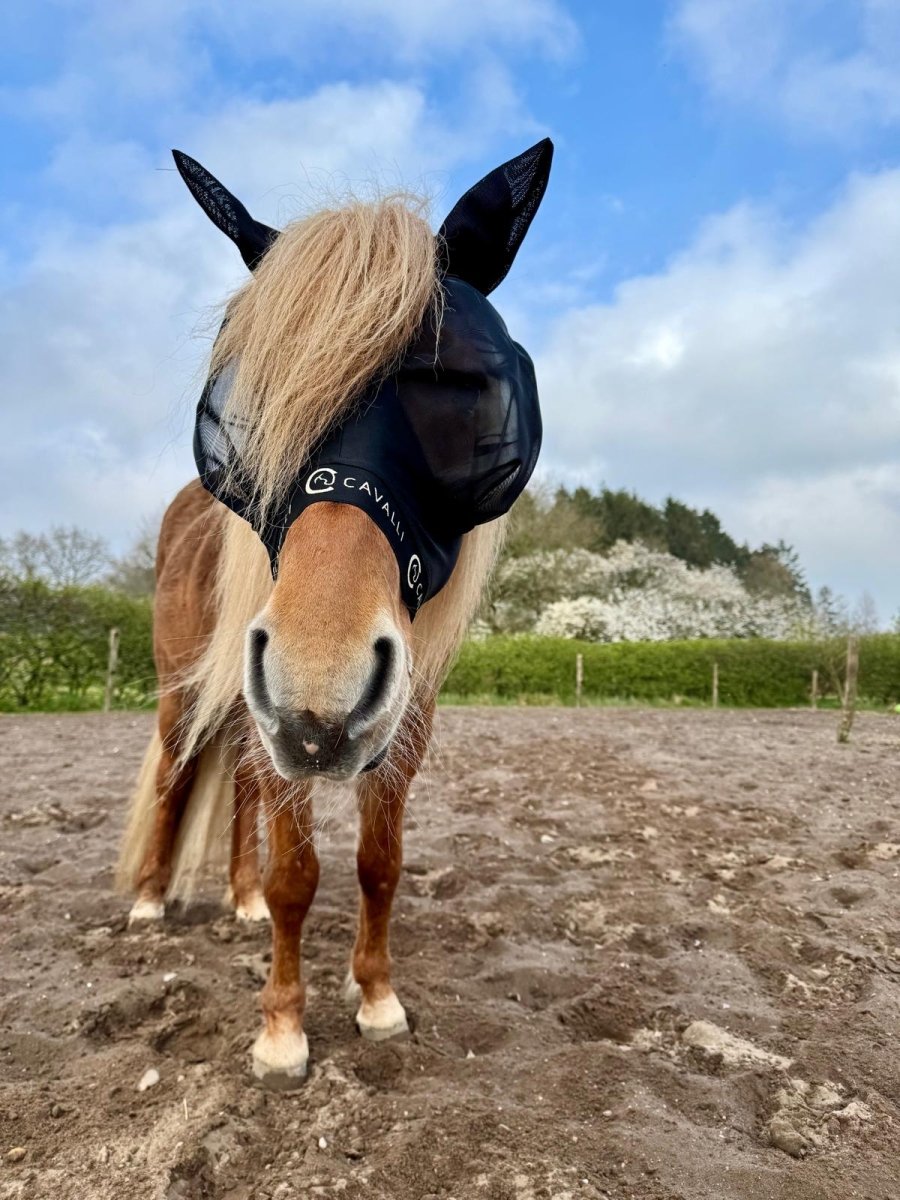 Cavalli Fluemaske m. ører - Sort 2025 - animondo.dk - Cav3305