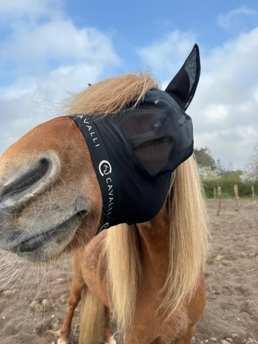Cavalli Fluemaske m. ører - Sort 2025 - animondo.dk - Cav3305