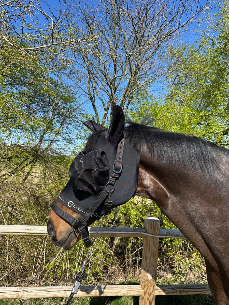 Cavalli Fluemaske m. ører - Sort 2025 - animondo.dk - Cav3305
