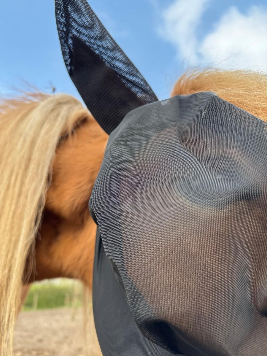 Cavalli Fluemaske m. ører - Sort 2025 - animondo.dk - Cav3305