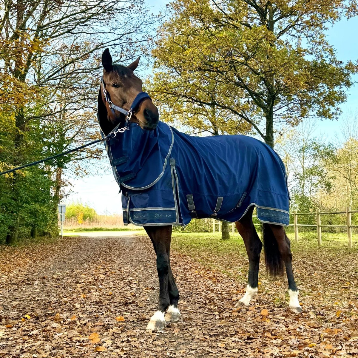 Cavalli - Regndækken - NYHED - animondo.dk - Cav2900