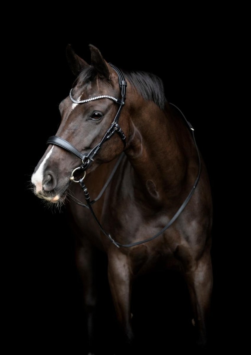 Gentle bridle - Komplet trense - str full - Sort - animondo.dk -