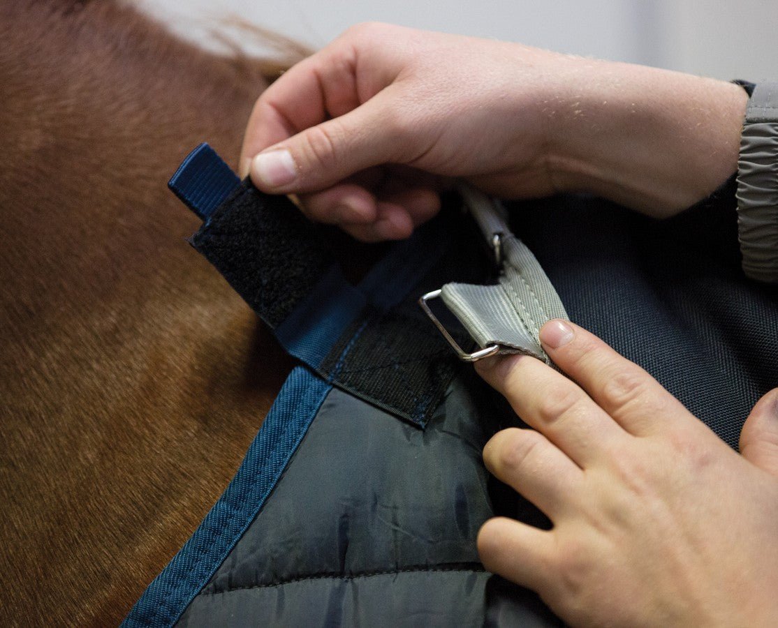 Horseware - Liner - 200 gram - animondo.dk - ABAD62 - BB00 - 66