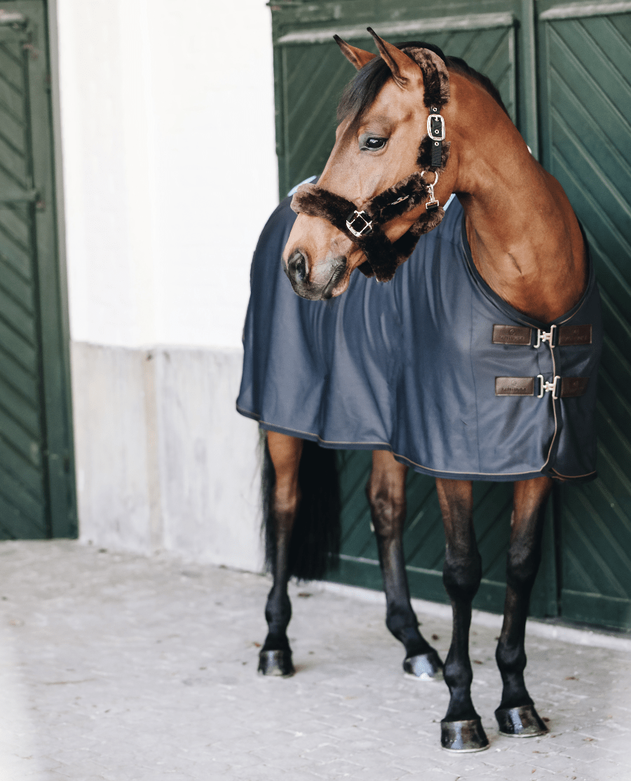 Kentucky Horsewear - Magnetdækken m. hals - Navy - animondo.dk - 52150 - 03 - 125