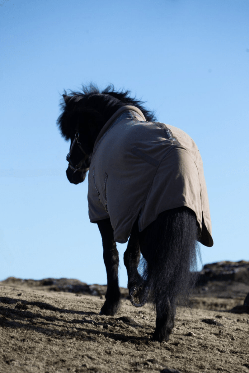 Top Reiter - Svedtransporterende fleece dækken "Klaki" - Trøffelbrun - animondo.dk - DE - FLE - KLK - TBR - 125