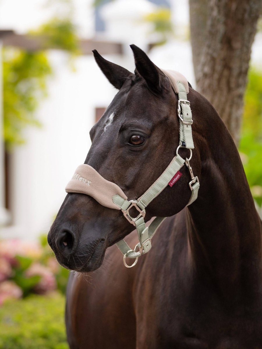 Vogue Headcollar & Leadrope Fern - animondo.dk - IT04204007