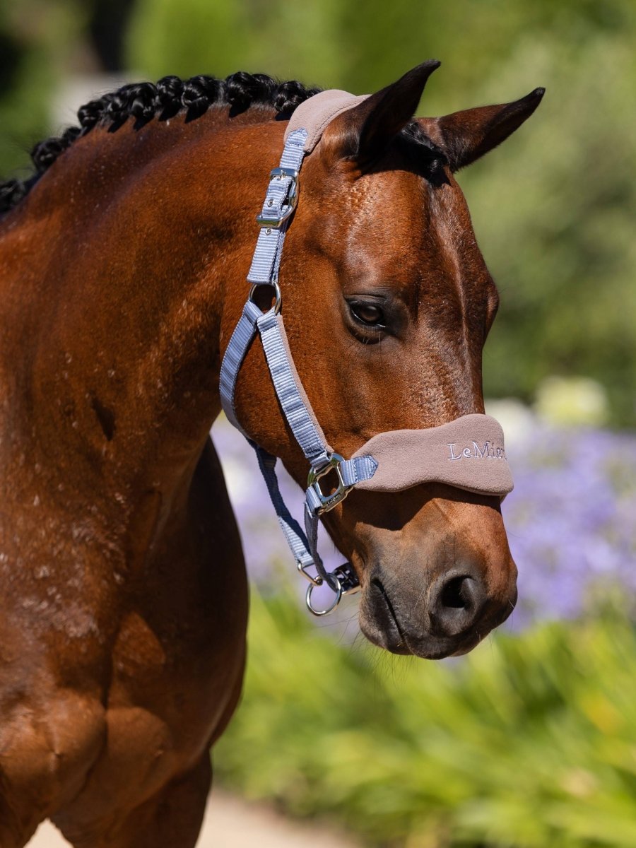 Vogue Headcollar & Leadrope Jay Blue - animondo.dk - IT04406007