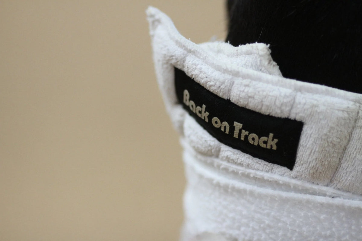 Back on Track Bandageunderlag Scandic - Hvid - animondo.dk