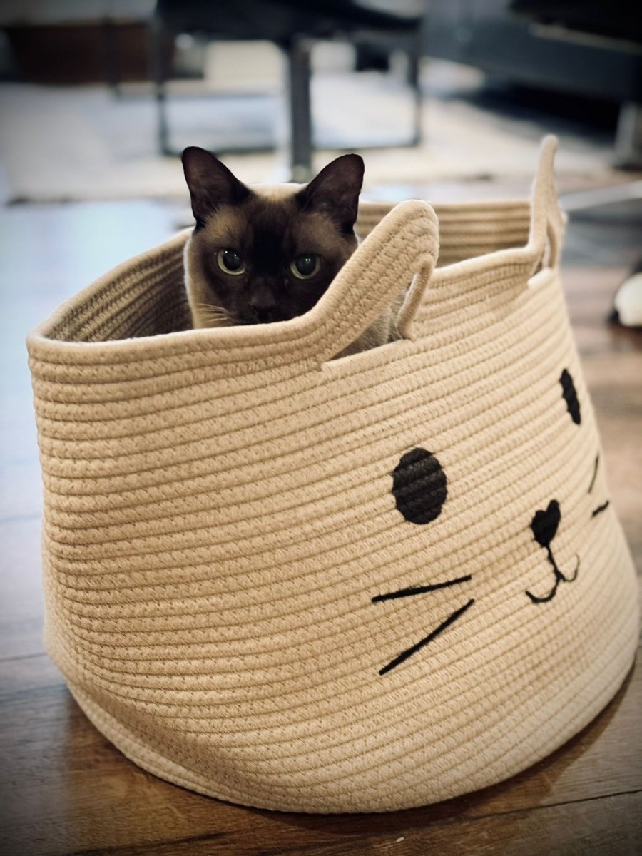 Barkly Marta Kurv - Beige - animondo.dk