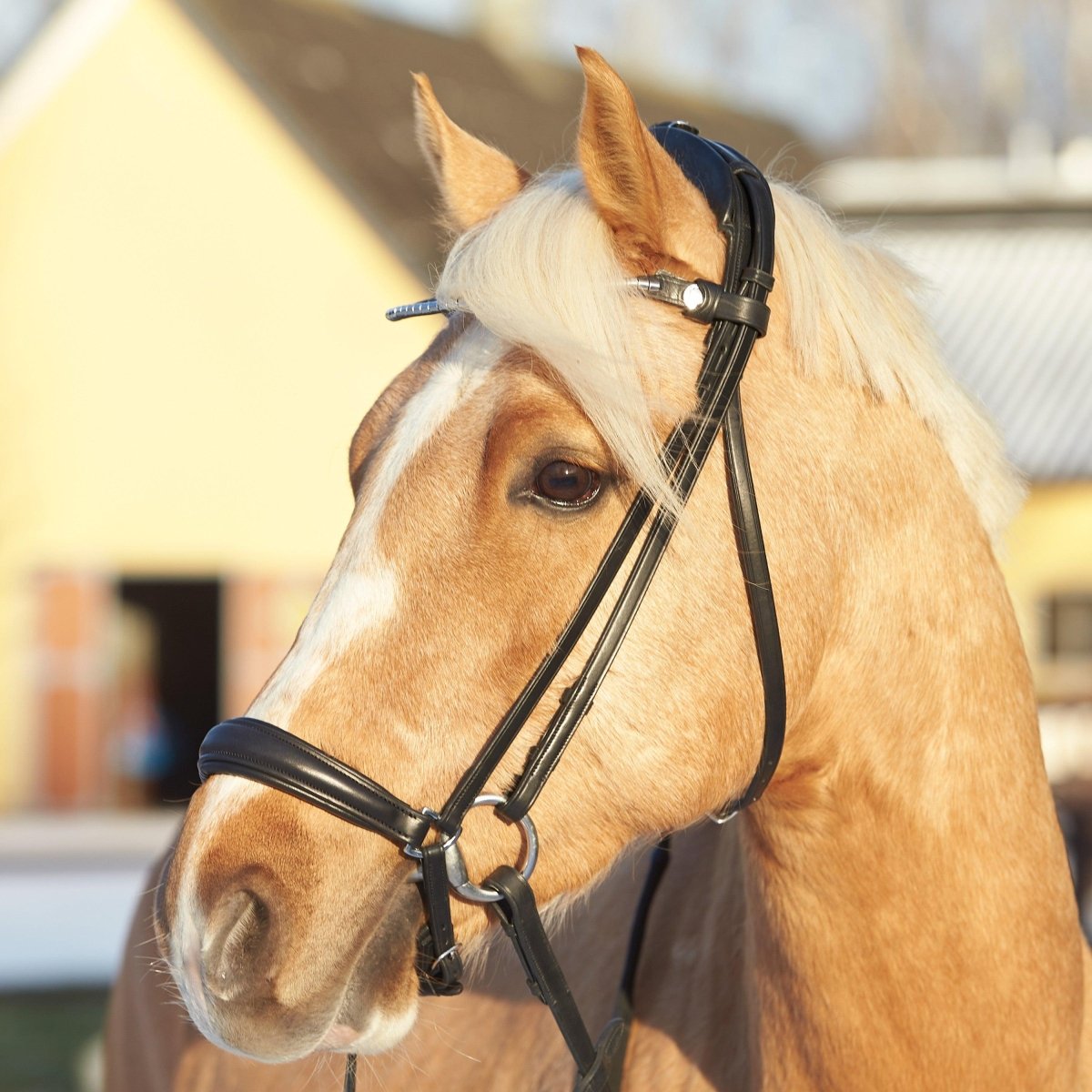 Finesse Bridles Spirit Trense, rundsyet m. hannoveransk næsebånd - sort/sort/sølv - animondo.dk