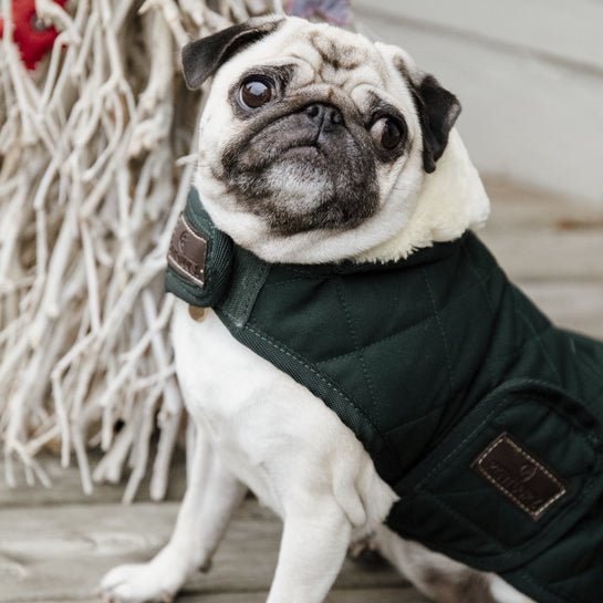Kentucky Dog Coat Original - Mørkegrøn - animondo.dk