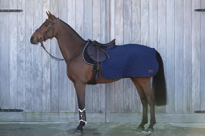Kentucky Horsewear - Lændedækken 160 gram - Navy - animondo.dk - 52108 - 03 - M