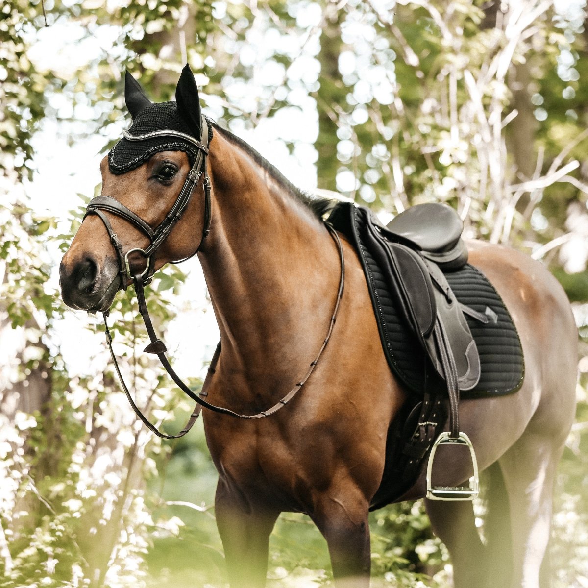 Kentucky Horsewear Pearls Show Dressurunderlag - Sort - animondo.dk