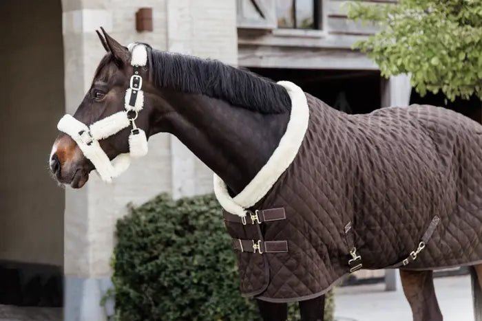 Kentucky Horsewear - "Show Rug" 160 gram - Brun - animondo.dk - 52101 - 05 - 130