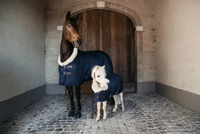 Kentucky Horsewear - "Show Rug" 160 gram - Navy - animondo.dk - EKSTRA - 52101 - 03 - 125