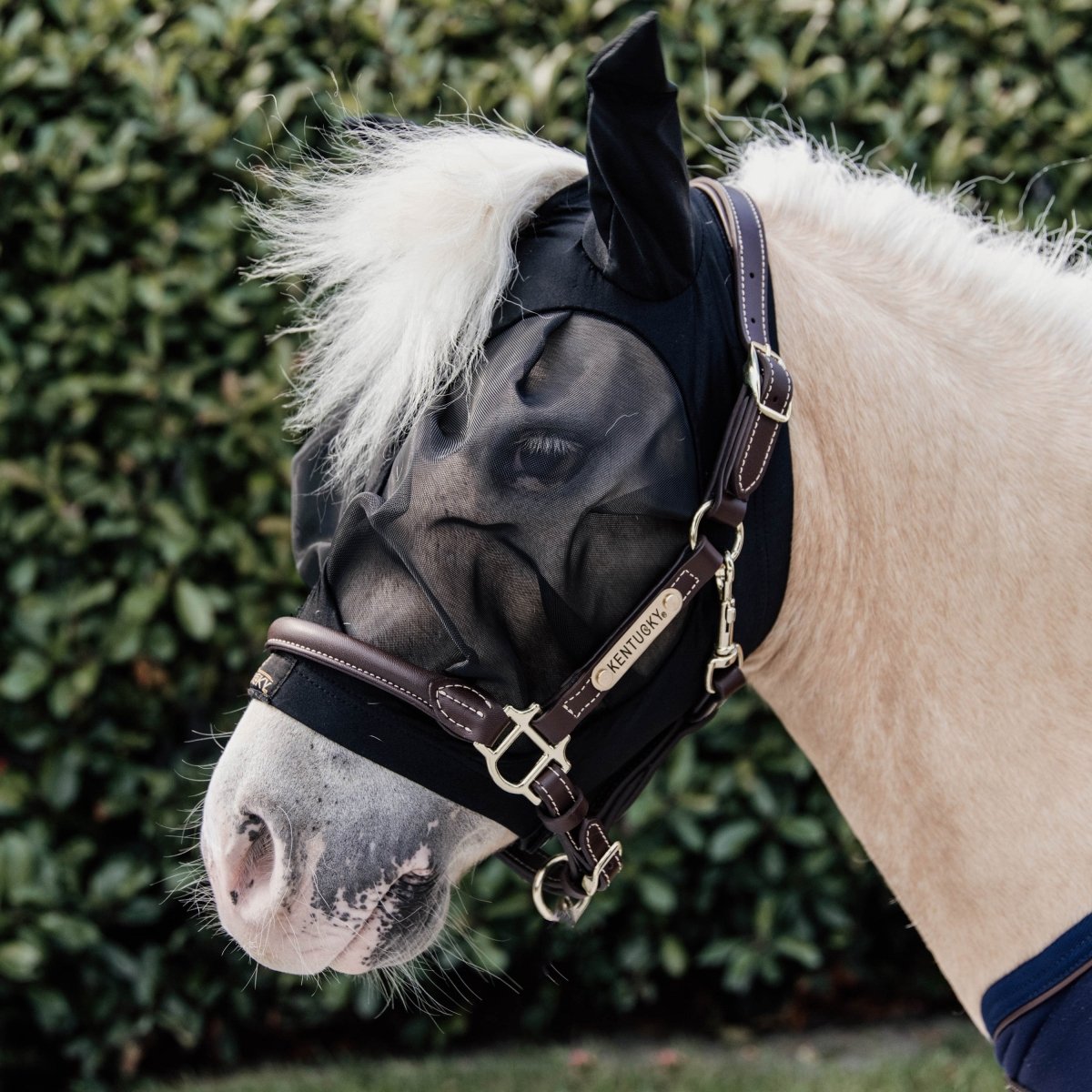 Kentucky Horsewear Slim Fit Fluemaske - Sort - animondo.dk