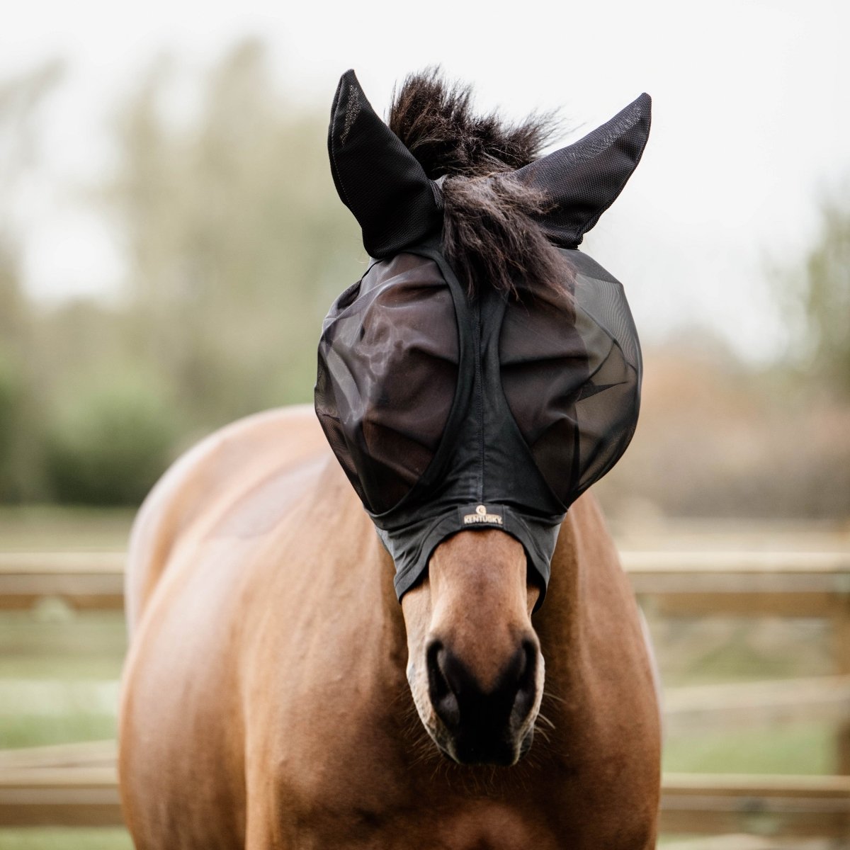 Kentucky Horsewear Slim Fit Fluemaske - Sort - animondo.dk