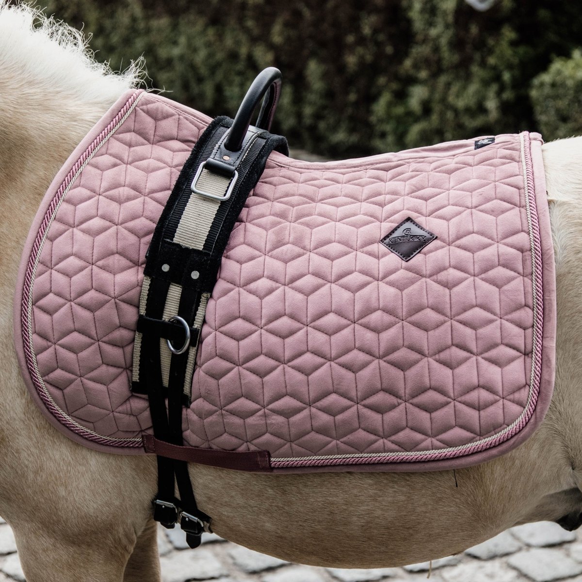 Kentucky - Velour Pony Sadelunderlag - Old rose - animondo.dk - 42579 - 10 - P
