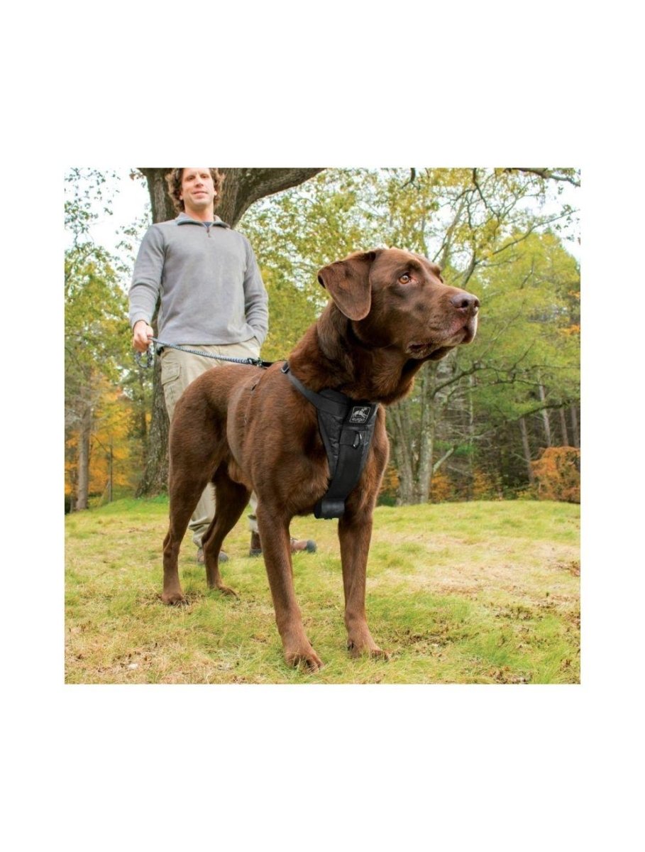 KURGO Tru-fit Sele Smart - Sort - animondo.dk
