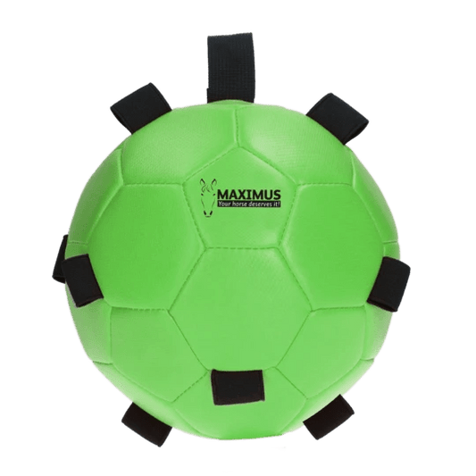 Maximus Fun Play Ball Green - animondo.dk