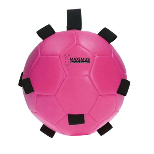 Maximus Fun Play Ball Pink - animondo.dk