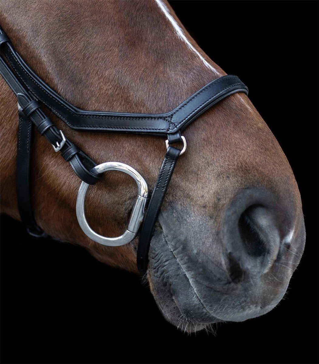 Waldhausen X-Line bridle Relaxation - Sort - animondo.dk