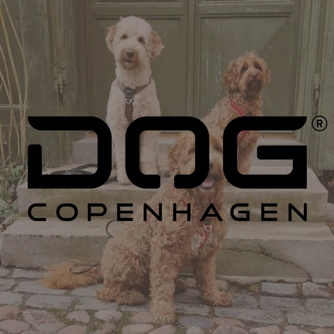 DOG Copenhagen - animondo.dk