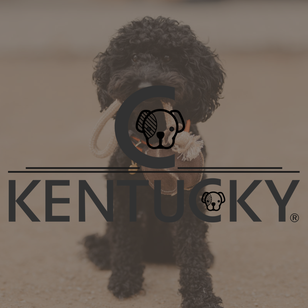 Kentucky Dogwear - animondo.dk