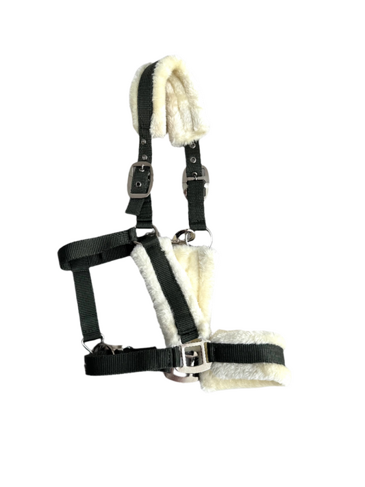 Cavalli Teddy Grime - Moss Green