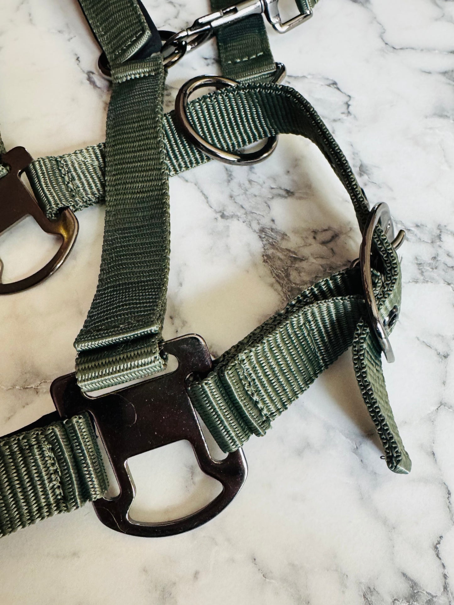 Cavalli Classic Grime m. Neopren - Moss Green