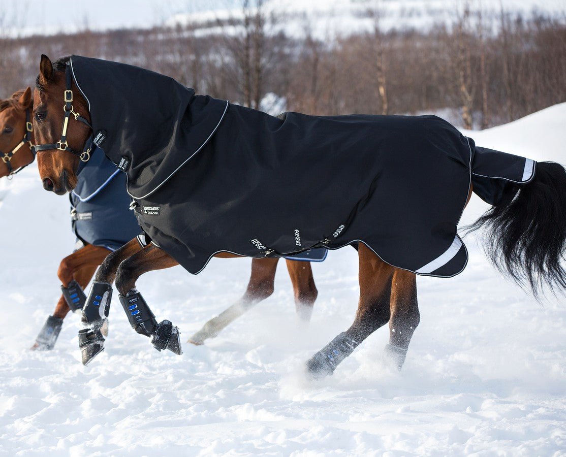 Amigo Super Bravo Plus Medium/ 250 G fra Horseware - animondo.dk - AAWPK2-KKW0-66