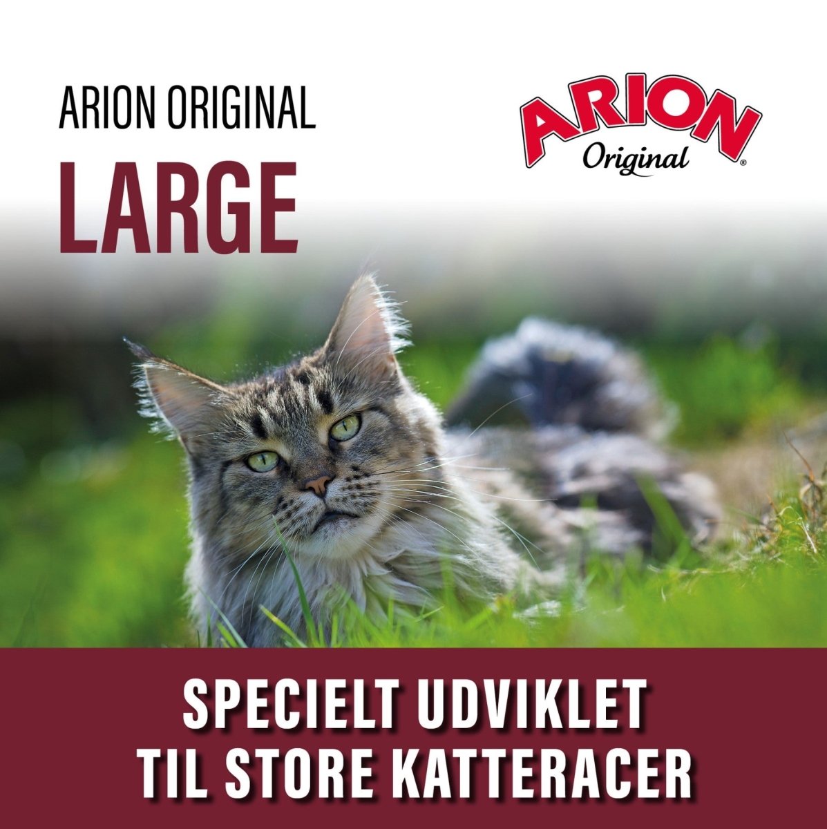 ARION ORIGINAL CAT LARGE BREED - 7,5 kg - animondo.dk - 105859