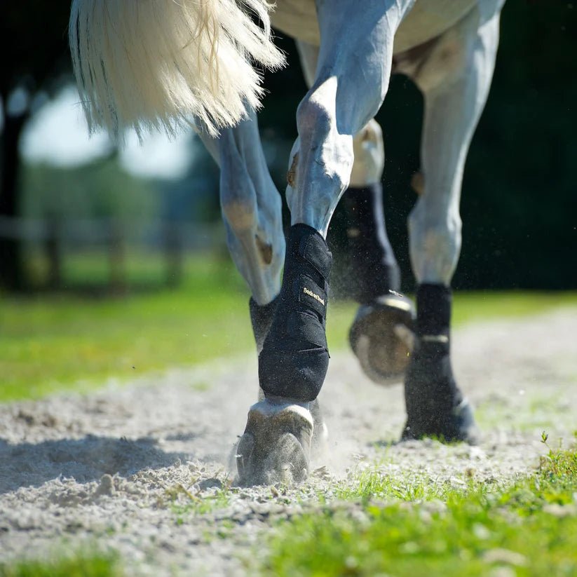 Back on Track - Ridegamacher - Forben - Sort - animondo.dk - 20440001
