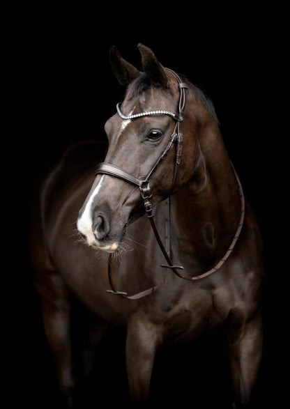 CATAGO - Gentle Bridle Kæberem m. Spænder - Brun - animondo.dk - 800342002