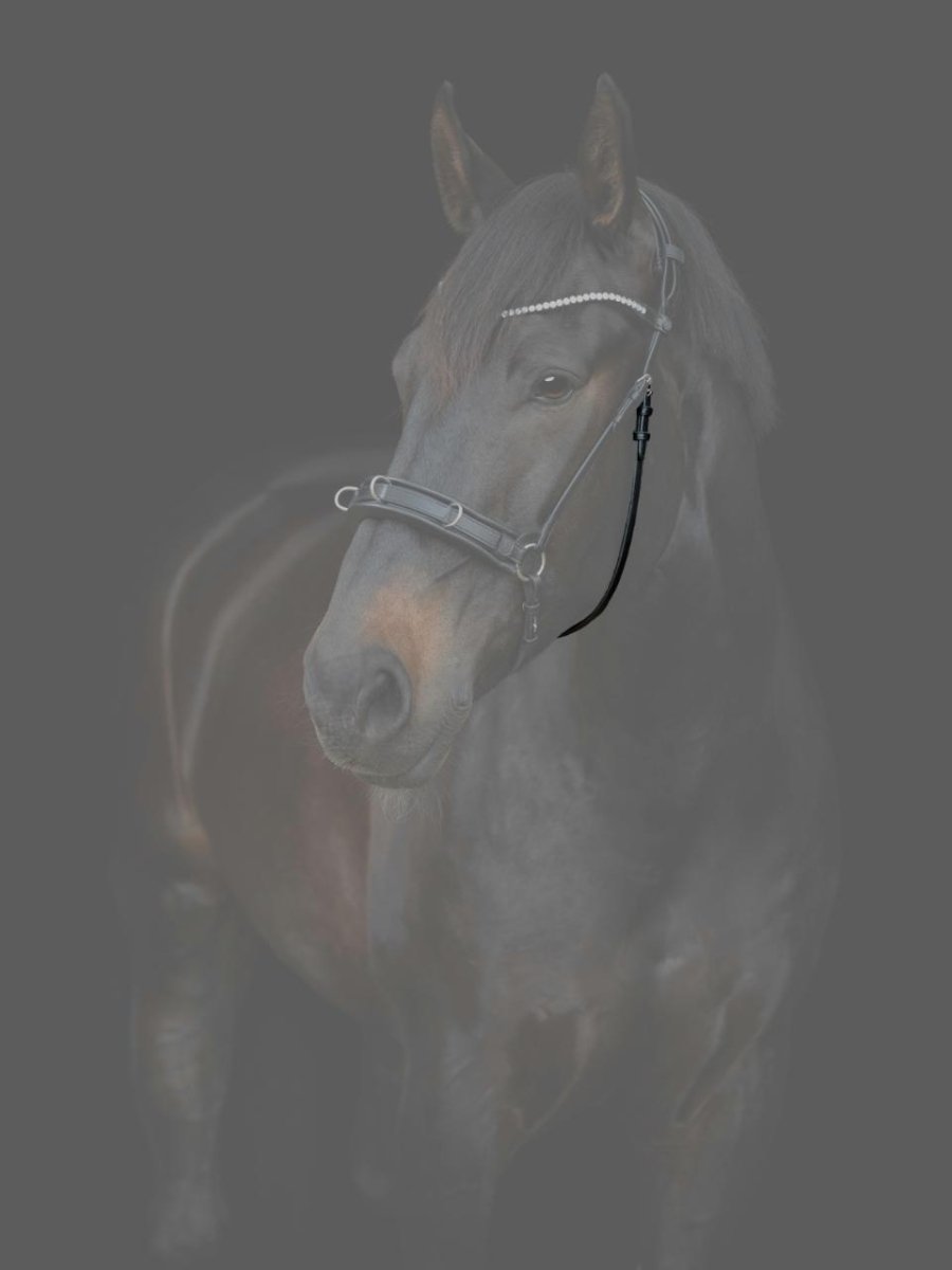 CATAGO - Gentle Bridle Kæberem m. Spænder - Sort - animondo.dk - 800343001