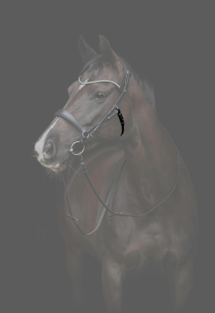 CATAGO - Gentle Bridle Kæberem u. Spænder - Sort - animondo.dk - 800323001