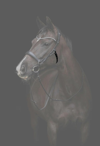 CATAGO - Gentle Bridle Kæberem u. Spænder - Sort - animondo.dk - 800323001