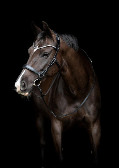 CATAGO - Gentle Bridle Kæberem u. Spænder - Sort - animondo.dk - 800323001