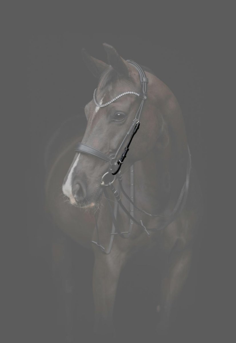 CATAGO - Gentle Bridle Kindstykker - Sort - animondo.dk - 800303001