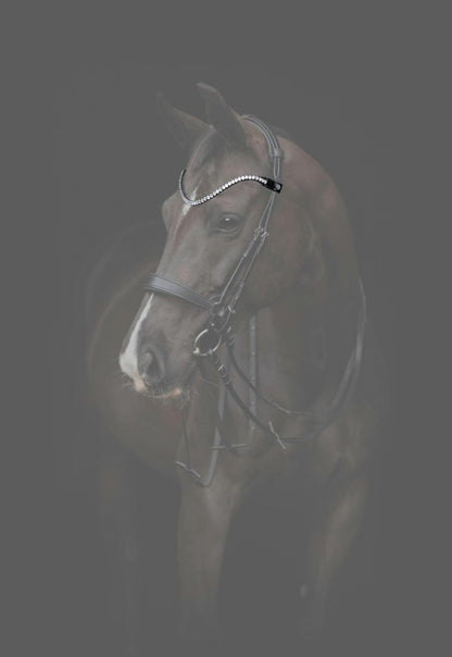 CATAGO - Gentle Bridle Pandebånd - Sort - animondo.dk - 800293001